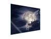 Glass Stovetop Protector 70x52 Moon