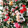 1.8m Artificial Rose Flowers for Wedding Home Room Decoration Silk Artificial Rose Vine Spring Garden Arch Rattan Decor