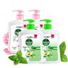 Dettol Antibacterial Moisturizing & Caring Pine Fresh Hand Wash