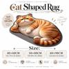 Non-slip Lifelike Cat Floor Mat 40×60CM 50×80CM 60×90CM Bedroom Door Rug  Home Decor