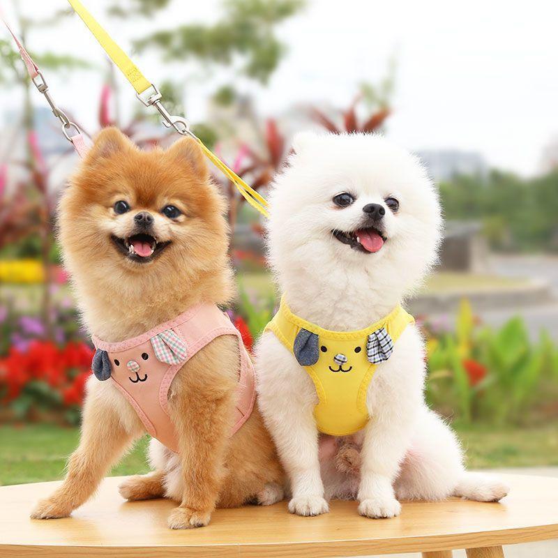 Dog cat out leash cat chest strap walking dog collar dog clothes pet supplies