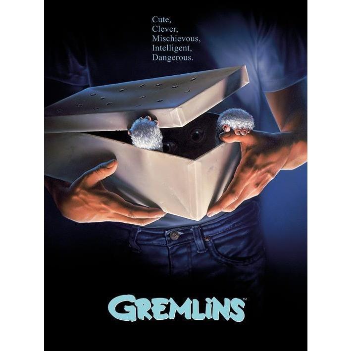 Gremlins Gizmo Canvas Print Poster