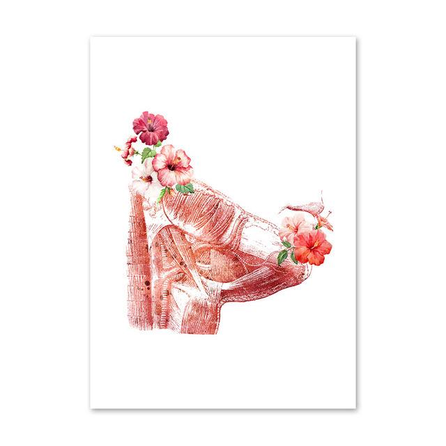 Анатомия стены книги по искусству цветок груди матки печень почки холст картины плакаты на скандинавскую тему печать украшения фотографии для врача офиса