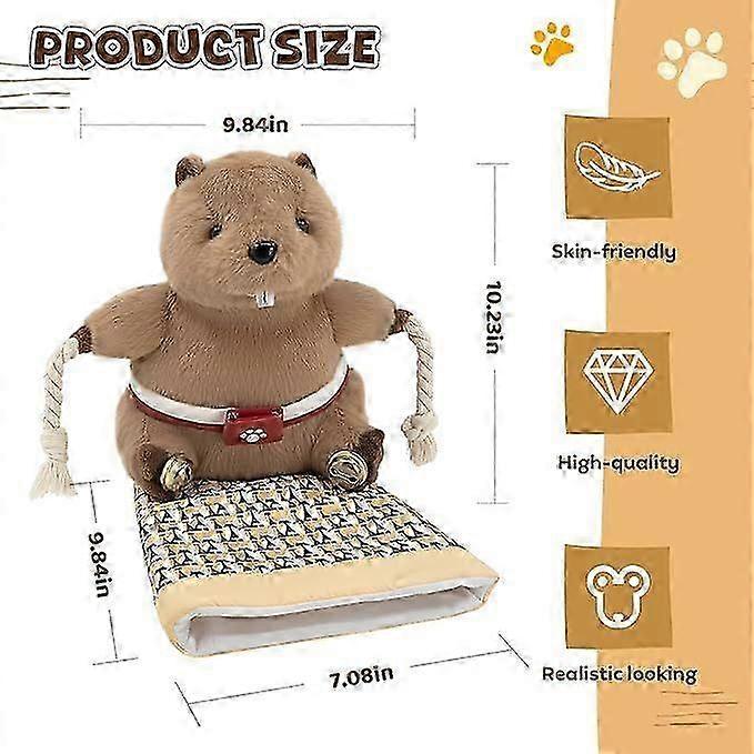 Cat Wrestling Glove, Cats Puppet Wrestler with Tough Padding for Safe Interactive Play, Cat Wrestling Toy Puppet with Cats Teaser and Bell for Boredom