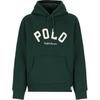 Толстовка с капюшоном и длинными рукавами Polo с логотипом в виде букв Мужская толстовка Зеленая 710952040-005