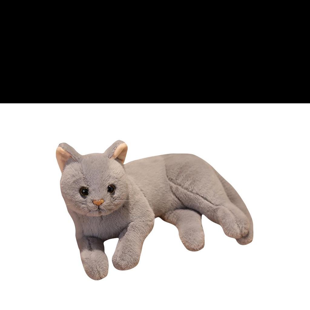 Cute 31cm Pure Color Stuffed Cat Doll For Kids Perfect For Animal Lovers And Pet Collectors