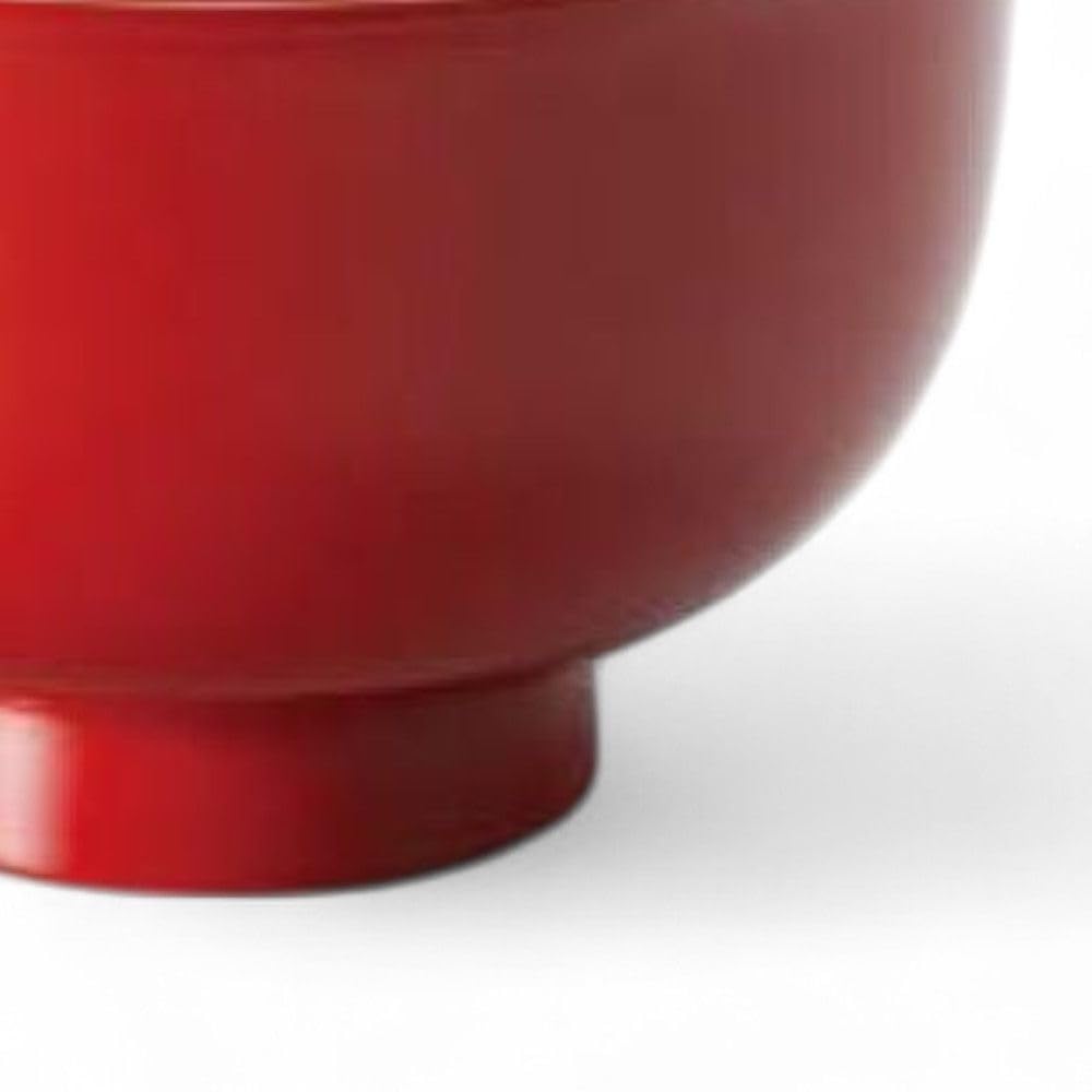 Lacquerware Dishwasher Made In Japan J-kitchens Bowl, Hand-Painted, Safe, PID-528121,