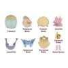 Dental Skull Model 1:2 Human-Skull Model Model Toys Anatomy Skull Model  Assembling Toys