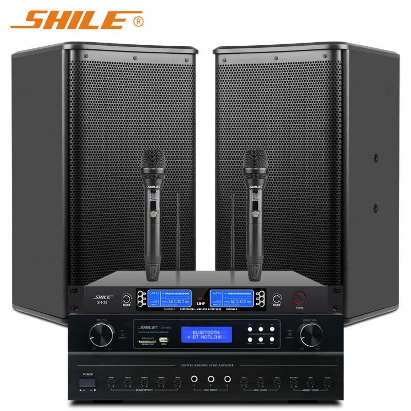 SHILE OK555C+BX110+SH28 Профессиональная 10-дюймовая конференц-аудиосистема (Китайская версия)