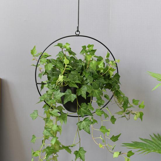 Сочный подвесной горшок для цветов, креативный прочный железный подвесной горшок для цветов со съемной цепочкой для сада