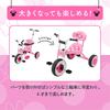 EC Ides Disney Tricycle with Foot Push Safety Passes SG Infants [Official Limited] (Minnie) Step, Rod, Bar, Standards, Children,