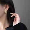 Irregular Earrings Twist Big Clip Metal Earrings New Drop Earrings Women Jewelry
