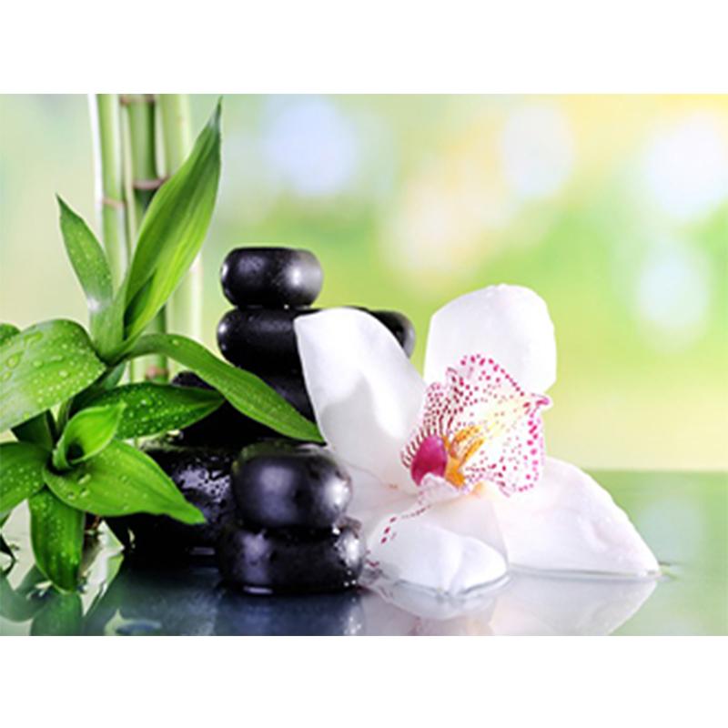 Цветок DIY 5D алмазная живопись полный круглый дрель Стразы Мозаика Орхидея Пейзаж Алмазная вышивка крестиком домашний декор