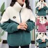 Women Winter Fall Coat Thickened Plush Color Matching Stand Collar Zipper Closure Long Sleeve Casual Cardigan Warm Heat Retention Pockets Lady
