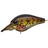 Evergreen Mode Piccolo Dive Shallow 81 Bleeding Brown Claw BL Brown Claw 4.0cm