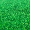 DIY Turf Lawn Model Grass Mats Anti-wrinkle Artificial Turf Landscape for Diorama Scenery Building Layout Material 25x100cm