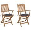 Day and Night - Day and Night Folding Garden Chairs 2 Units and Cushions Solid Acacia Wood