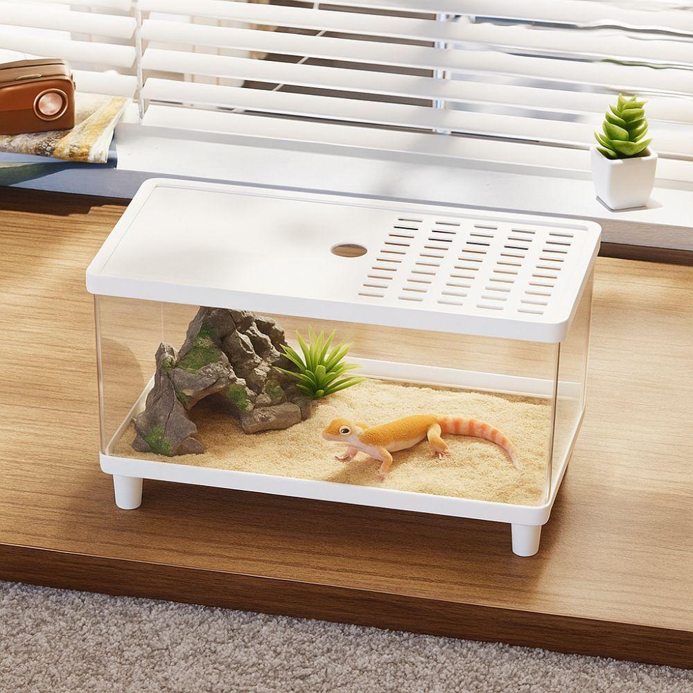 Transparent Reptile Terrarium Visual Reptile Habitat Insect Observation Box Amphibians