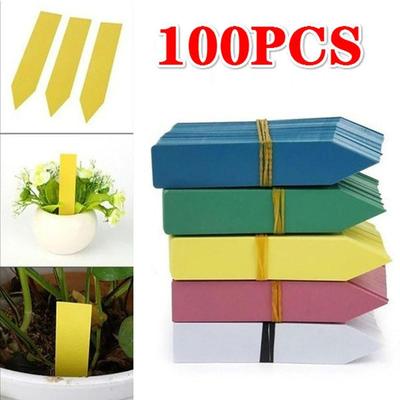 100 шт. многоразовые водонепроницаемые этикетки для цветов и растений суккулентные маленькие этикетки для маркировки садовых этикеток для украшения