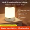 LED Night Lights Touch Stepless Dimmabl LED Table Lamp USB Portable Bedside Lamp for Bedroom Decor Sleeping Night Light Kid Gift