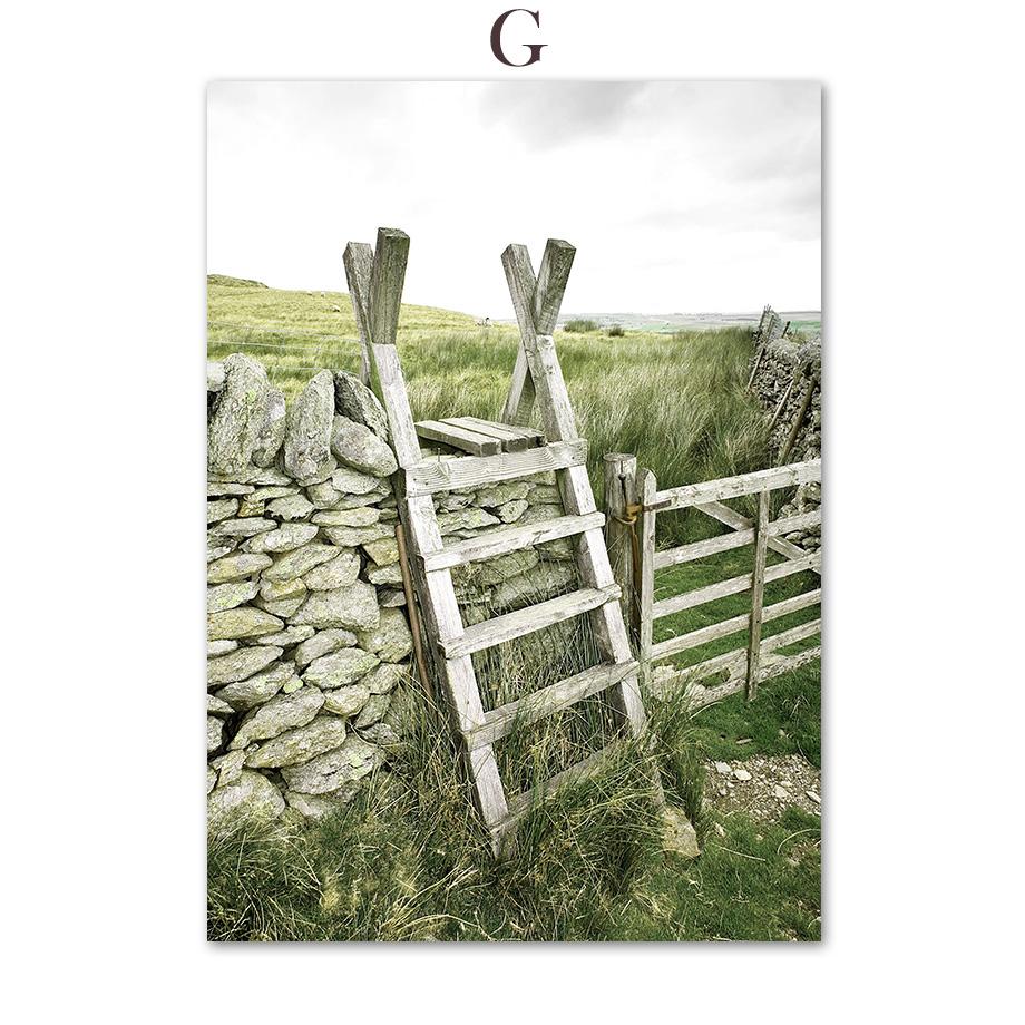 Green Mountain Dandelion Bike Grass Leaf Wall Art Canvas Painting Nordic Posters And Prints Wall Pictures For Living Room Decor