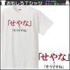 Minami Funny Hiragana Katakana Japanese Funny Short Sleeve White XXXL Size Horie's T-Shirt "That's Right" T-Shirt Men's