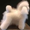 Fake Hair Model Teddy Modelling Poodle Skeleton Dog Grooming Exercises Model Dogs Hair Trim Whole Body Pet Products Supplies