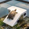 Non-Slip Basking Platform Suction Cup Turtle Climbing Slope Reptile Ramp  Pet Habitat