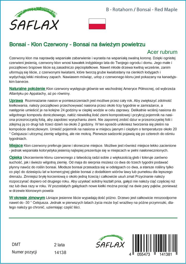 SAFLAX Бонсай - Красный клен - 20 семян - С горшечным субстратом для лучшего выращивания - Acer Rubrum