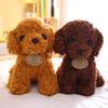 Simulation Teddy Dog Doll Plush Toy Cute Curly Dog Doll Grab Machine Doll Wedding Gift