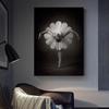 Ballerina Dancer Figure Canvas Paintings On the Wall Art Modern Inspirational Posters and Prints Black and White Ballet Art Pictures Wall Decoration