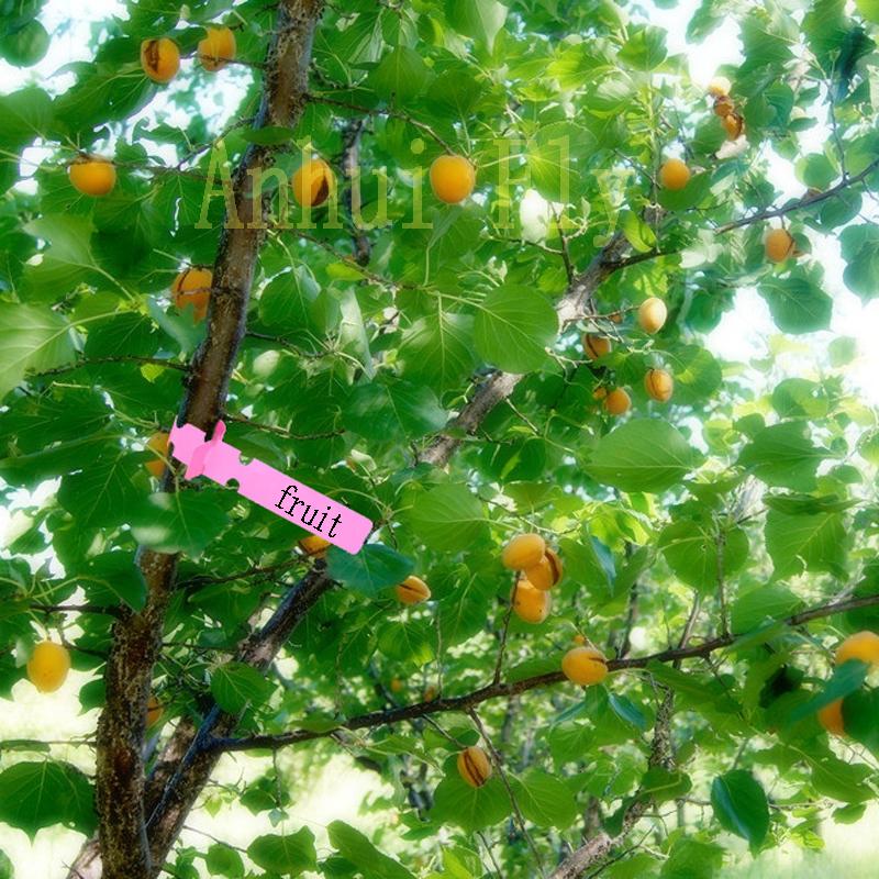 30 Pcs Gardening Garden Hang Tag Label Hanging Tree Seedling Plant Fruit Trees Signs Prompt Card Classification Tool