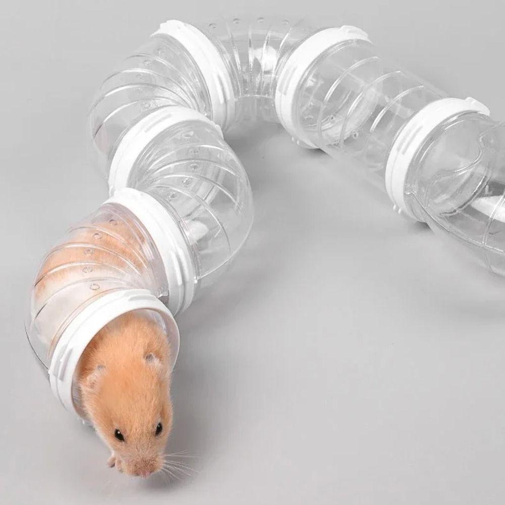 Transparent Hamster Tunnel Tubes Set 5.5cm Diam Hamster Coop External Pipelines Small Pet Supplies