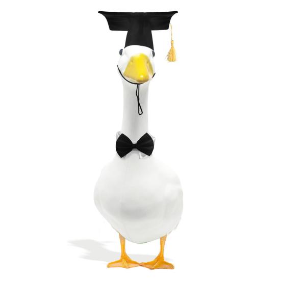 1 комплект нарядов для выпускного в виде гуся из газона, черная шляпа бакалавра, галстук-бабочка, украшение для статуи гуся для двора, нарядная одежда, аксессуары для костюмов