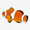 Clown Fish No Background Ray Finned Fishes Orange Clow Iron On Heat Transfer Printing Vinyl Patches Sticker for Clothes DIY Appliques Washable Patches