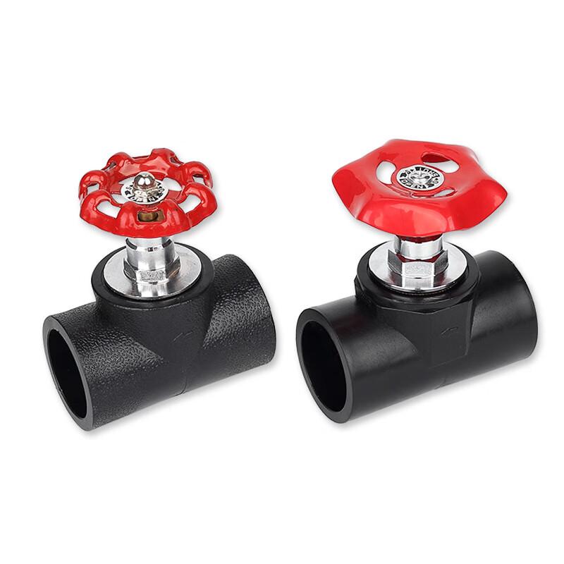 PE63 Lift Check Valve