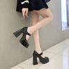 Ladies High Heels 12 Cm New French Mary Jane Shoes Retro Thick Heels 2024 New Waterproof Platform Super Single Shoes