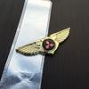 Metal Car Sticker Front Grille Badge Wings Emblems for Mitsubishi Aerobus Lancer Cordia Pajero Outlander Eclipse Galant Mirage YG2