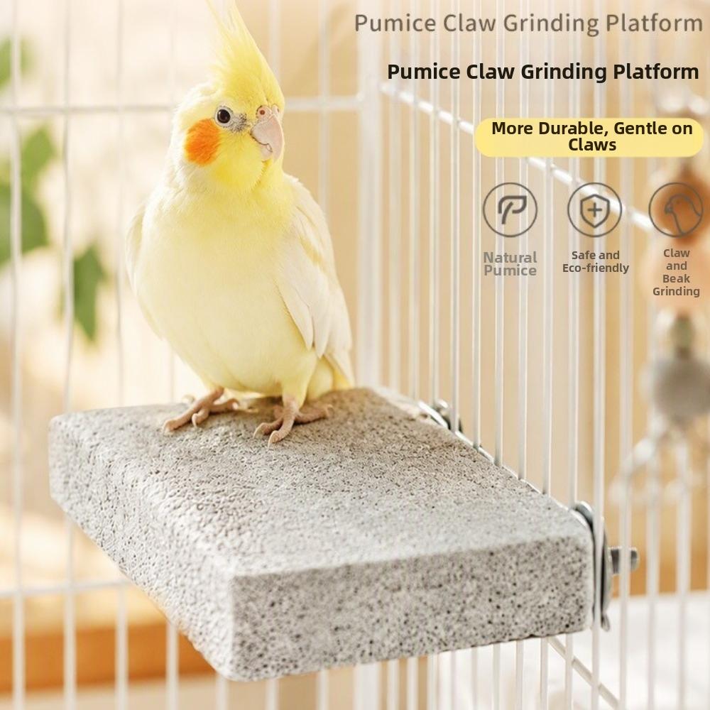 Washable Pumice Claw Grinding Platform Chew-Resistant Bird Resting Platform Play Stand For Birds