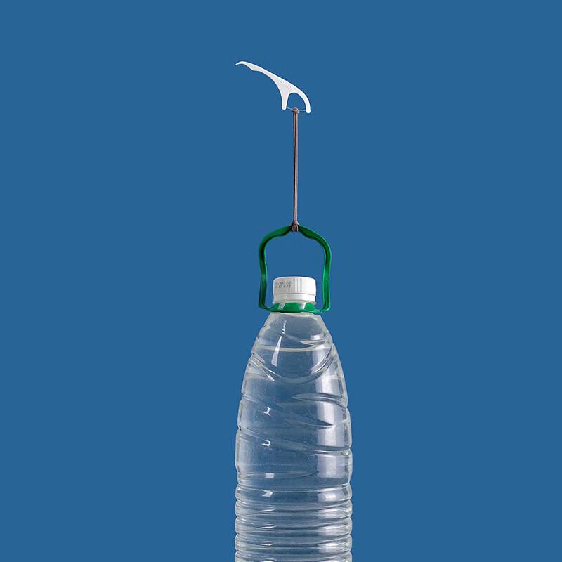 Camellia Dental Floss Picks