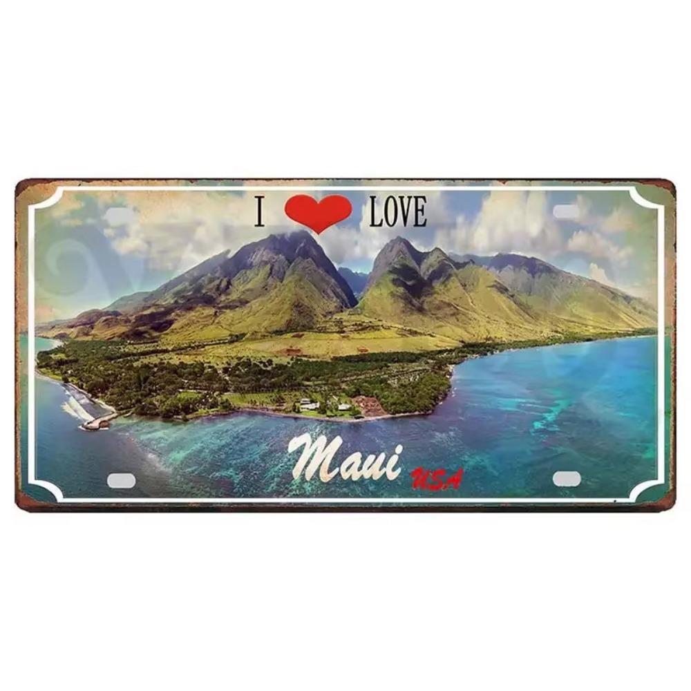 Flag Metal Retro Signs with Aesthetic Appeal Ideal Travel Souvenirs To Beautify Wall Decoration In Home Showcasing Vintage Style
