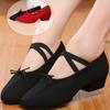 Женщины Танцы Румба Вальс Выпускной Бальный зал Латиноамериканские танцы Балет Танцы Одиночные Танцы Обувь Для Девочек Балетки