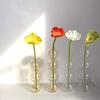Modern Glass Vase Simple Spherical Flower Vase Table Decoration Hydroponic Flower Pot  Living Room