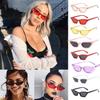 Trendy Women Cat Eye Design Sunglasses With Retro Small Eyeglass And Uv Protection