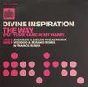 12inch Record DIVINE INSPIRATION - Way (Put Your Hand In My Hand) DATA42T Data Records 2002 UK Dance & Electronica Used