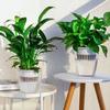 Self Watering Hydroponic Planter Including Liner Soil Flower Pot New Potted Flower Pot