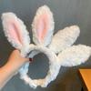 Women Headband Bunny Ear Design Non-slip Lovely Cartoon Headpiece Rabbit Ears Headband Hair Accessories