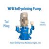 WFB Corrosion-Resistant Vertical Sealless Self-Priming Control Pump for Large Suction Lift and Sewage Discharge