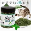 Organic 100% Natural High Quality Catnip Cattle Grass Mint Taste Funny Cat Toy New Cat Toy Interactive Cat Toys Pet Supplies