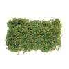 Daichi Farm Natural Materials Mountain Moss Саше Зеленый (50г) ДО61170-700